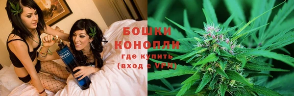 марки nbome Заводоуковск